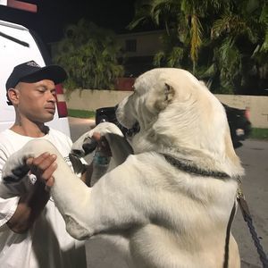 Meet your Posher, Nathan